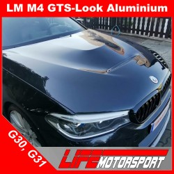 Non Painted BMW 5 Series G30 GTS Bonnet 2017 2018 2019 2020 at best price  in Surat