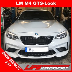 BMW M2 F87 Sport-Motorhaube...