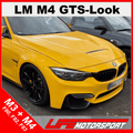 Sportmotorhaube GTS - Design für BMW M3/M4 F8x