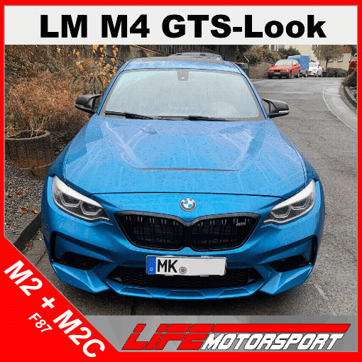 Sportmotorhaube GTS - Design für BMW M2/M2C F87