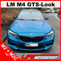Sportmotorhaube GTS - Design für BMW M2/M2C F87